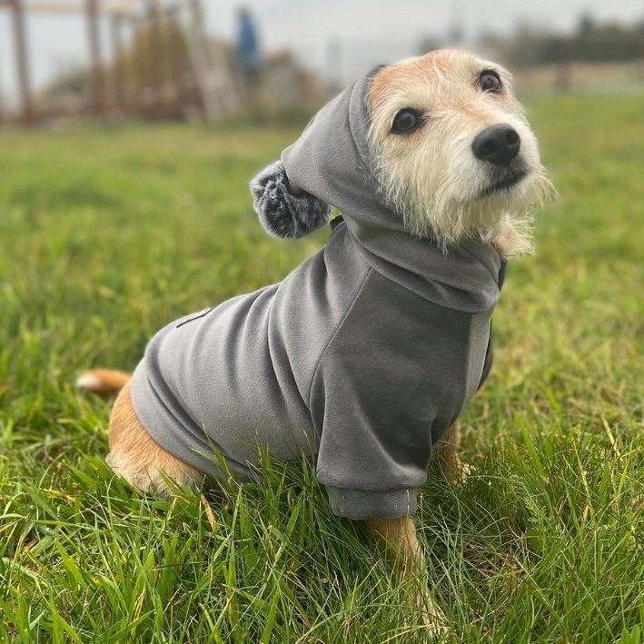 SWEAT-SHIRT fait main veste pour chien sweat à capuche pour chien WELUR vêtements CHOIX DE COULEUR