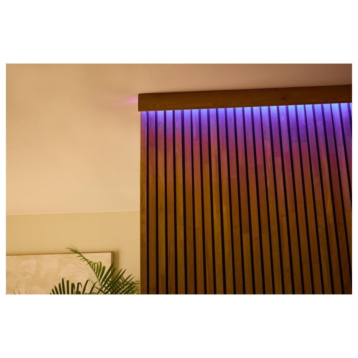 LIVARNO home LED strip, 5 m, with color changing