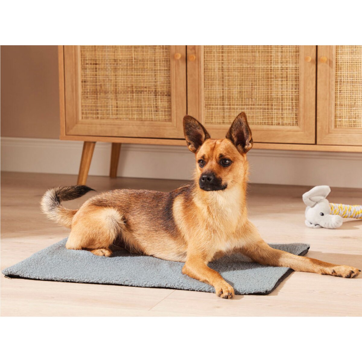 zoofari® car blanket / pet mat, washable up to 30 °C (self-warming pet mat)
