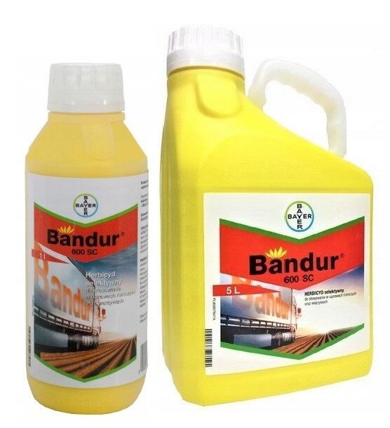 BANDUR 600 SC (Aclonifen)