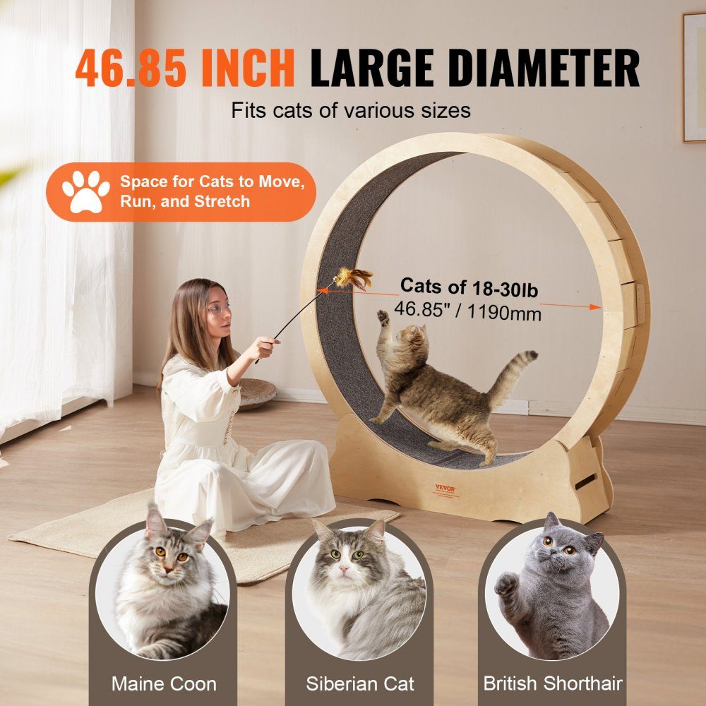 Cat hometrainer 1320 x 340 x 1415 mm berkenpopulier multiplex Cat hometrainer Uitneembare binnenmat met laag geluidsniveau Cat hometrainer geschikt voor katten met een gewicht van 8 kg tot 14 kg
