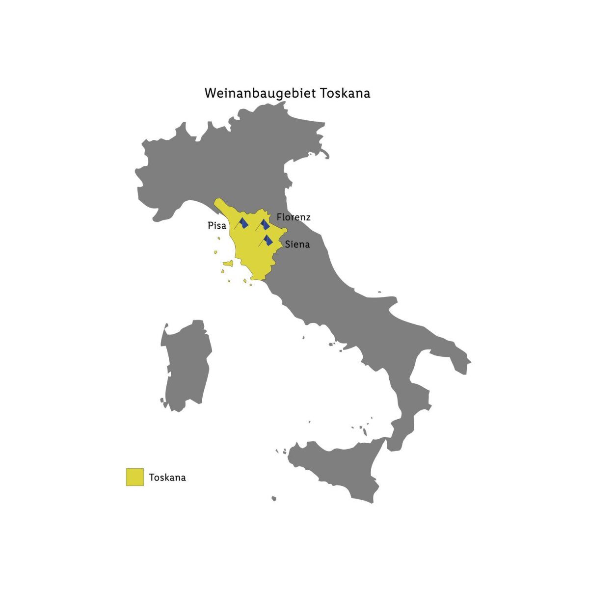 Chianti DOCG trockener Magnum, Rotwein 2019