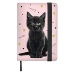 Zwarte kat pluchen dagboek