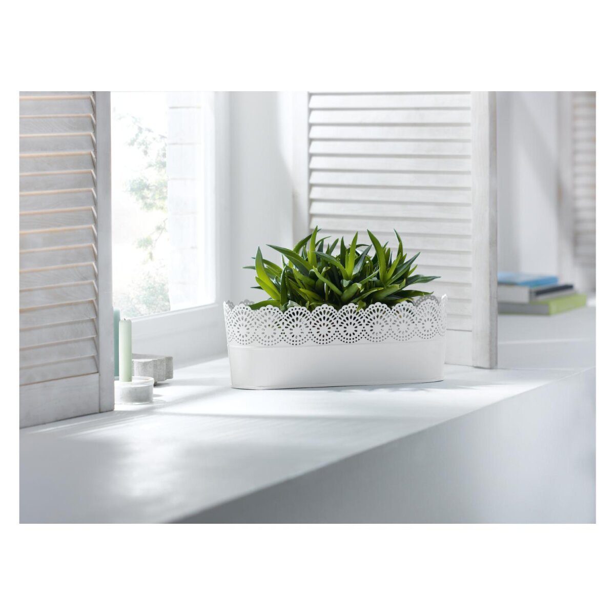LIVARNO home nostalgic flower pots, for indoor and outdoor use (large oval white)