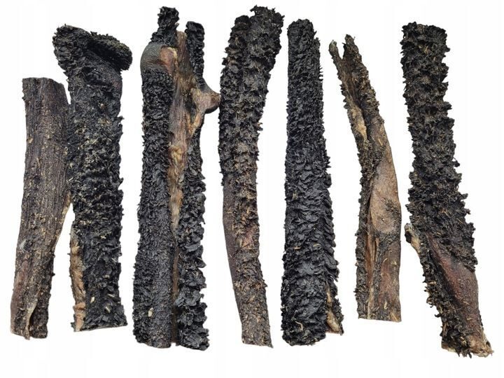 Estomacs de tripes de bœuf séchés, 100% naturels, 1 kg de nourriture pour chien