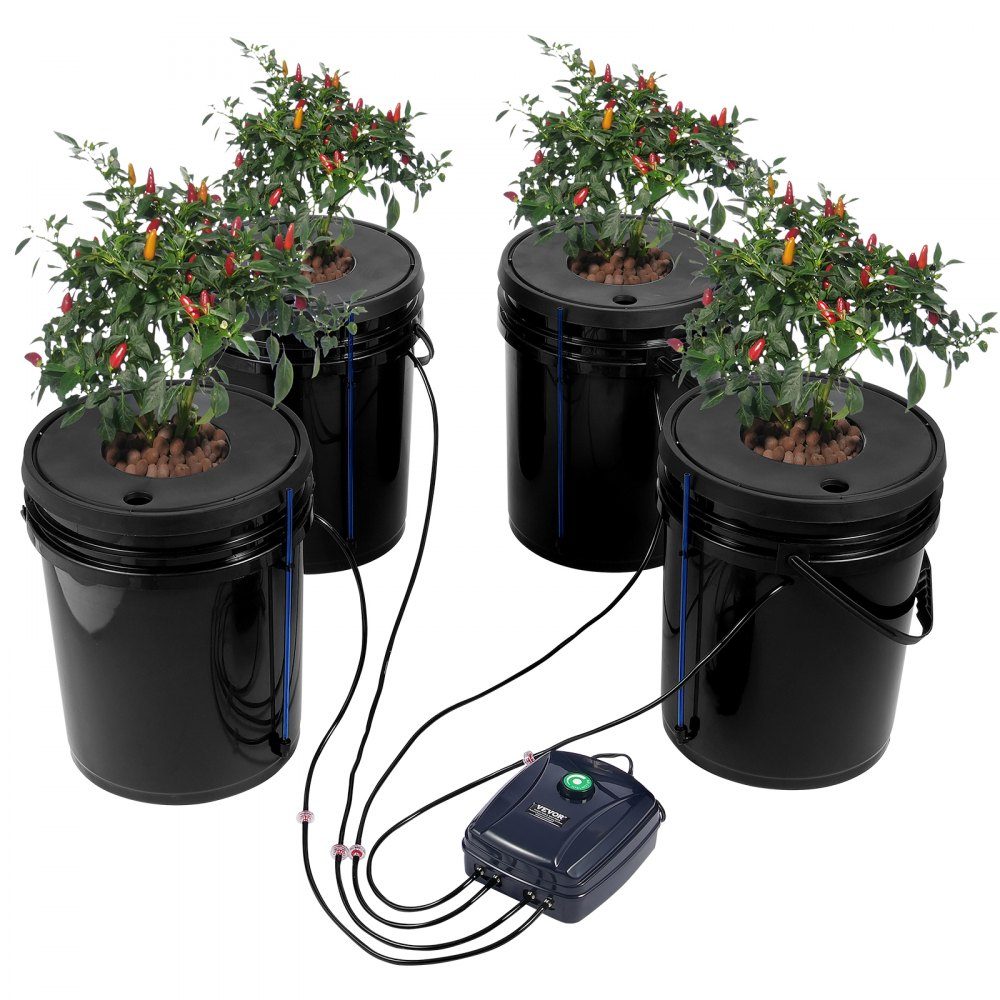 DWC Hydroponics Grow System, Hydroponic Growing System, Deep Water Culture 5 Gallonen 4 Eimer, DWC System mit Luftpumpe, Luftsteinen und Wasserstandsanzeige für Blattgemüse