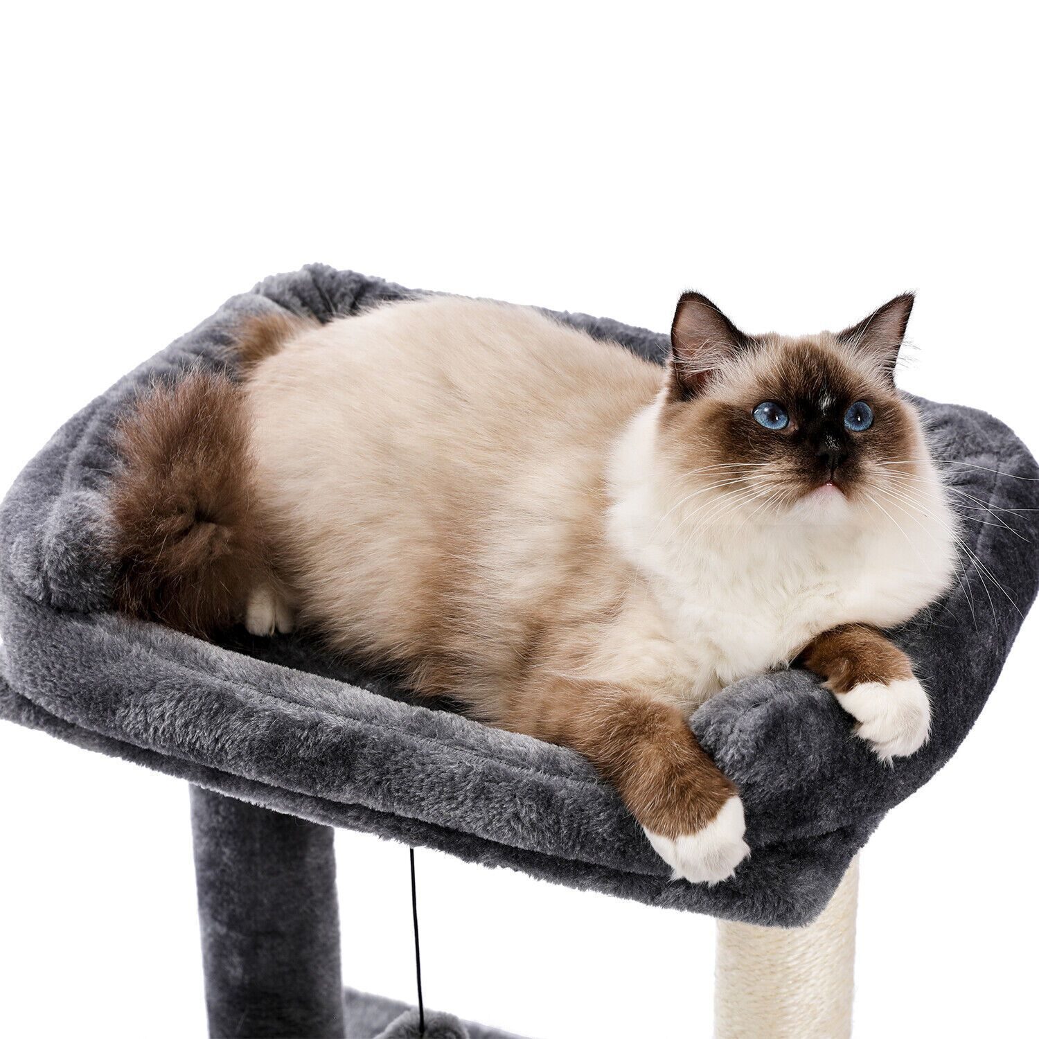 Premium kattenkrabpaal sisal kattenkrabpaal kattenspeelgoed kat