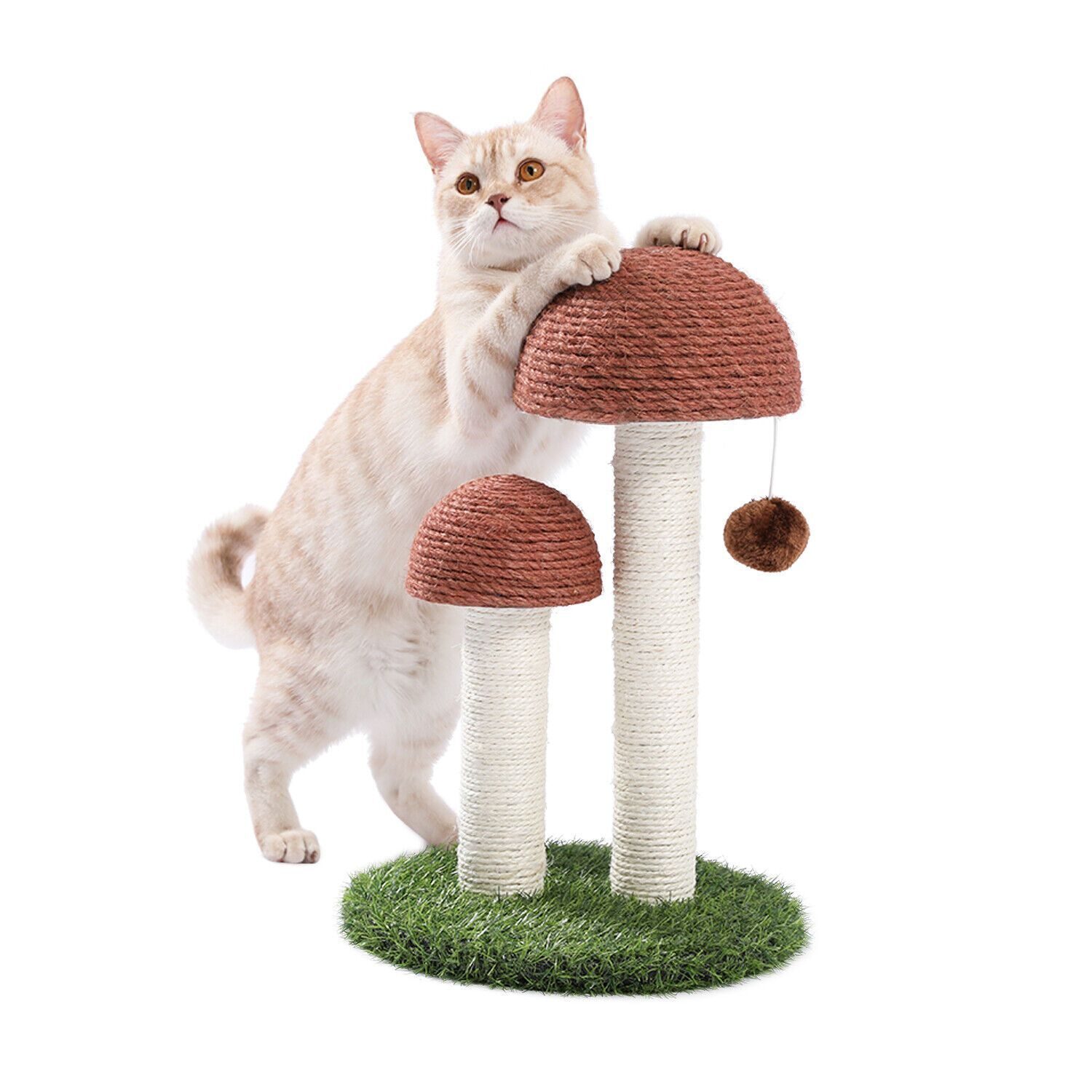 Premium Mushroom Scratching Post Cat Sisal Cat Scratching Post Scratching Post Cat Toy Cat