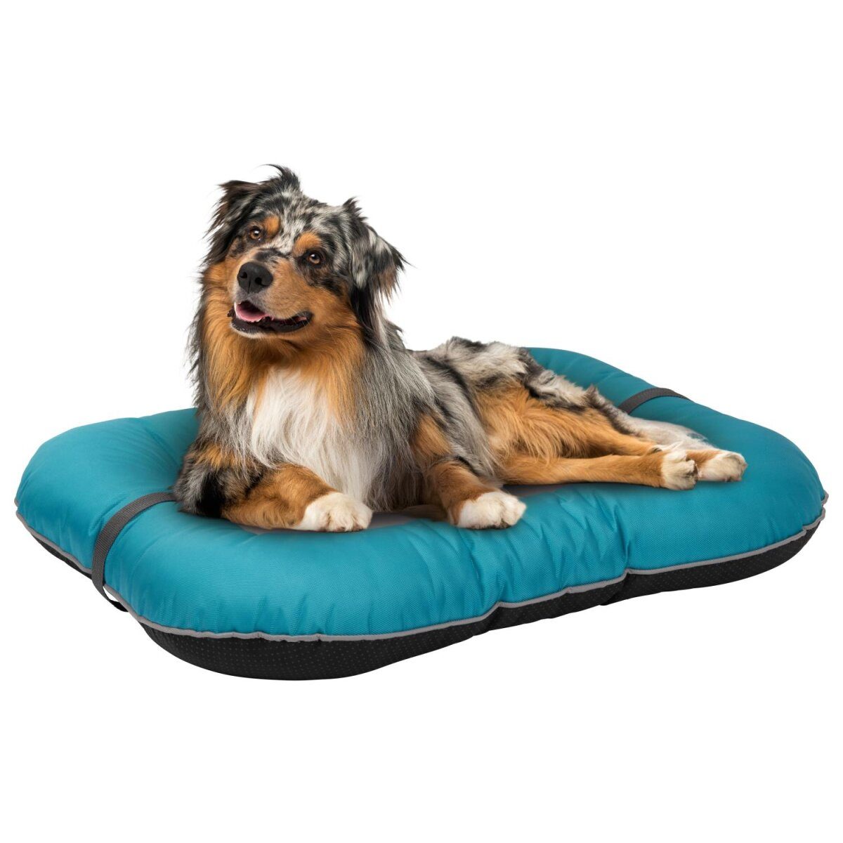 zoofari® dog bed, outdoor, lounge cushion/round