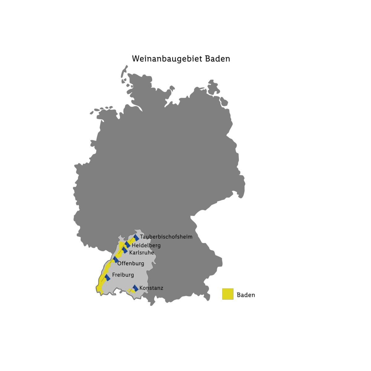 Junge Winzer Pinot Gris Baden QbA trocken, Weißwein 2020