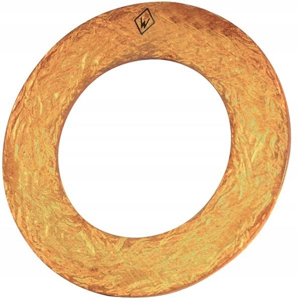 PTO-koppeling frictieplaat 102x170x3