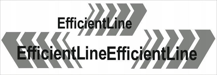 STICKER voertuigopschrift MAN TGA TGX TGL EFFICIENTLINE