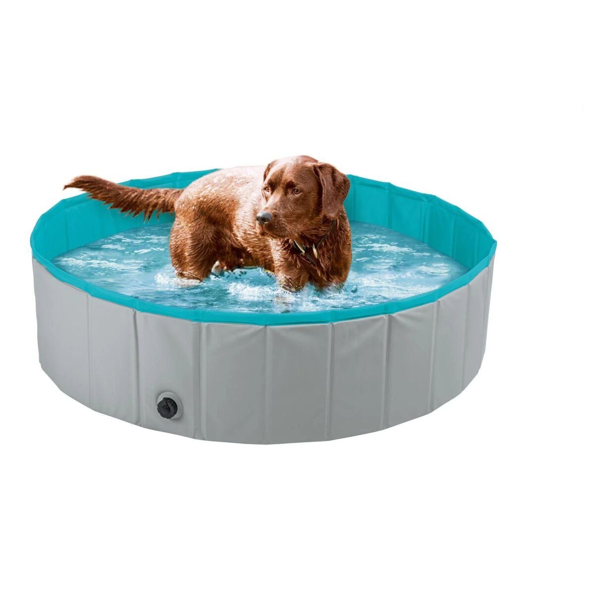 ZOOFARI® dog pool