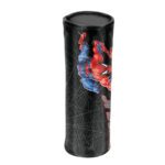 Spiderman-etui