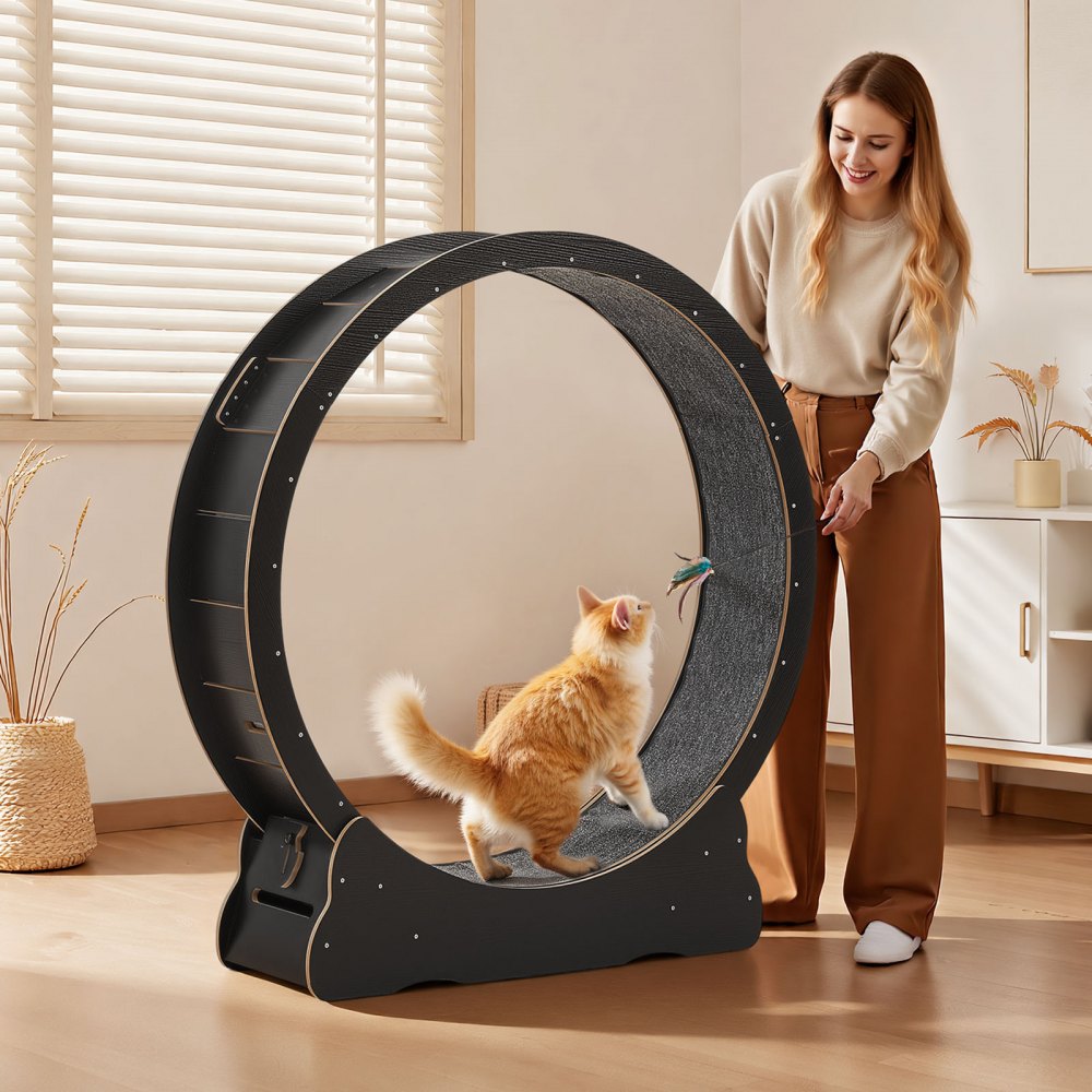 Roue d'exercice pour chat, diamètre intérieur 118 cm, roue d'exercice en bois pour chats jusqu'à 13,6 kg, tapis roulant pour chat avec bande de roulement en tapis et mécanisme de verrouillage, jouet silencieux pour chat d'intérieur, noir Roue d'exercice pour chat, diamètre intérieur 118 cm, roue d'exercice en bois pour chats jusqu'à 13,6 kg, tapis roulant pour chat avec bande de roulement en tapis et mécanisme de verrouillage, jouet silencieux pour chat d'intérieur, noir