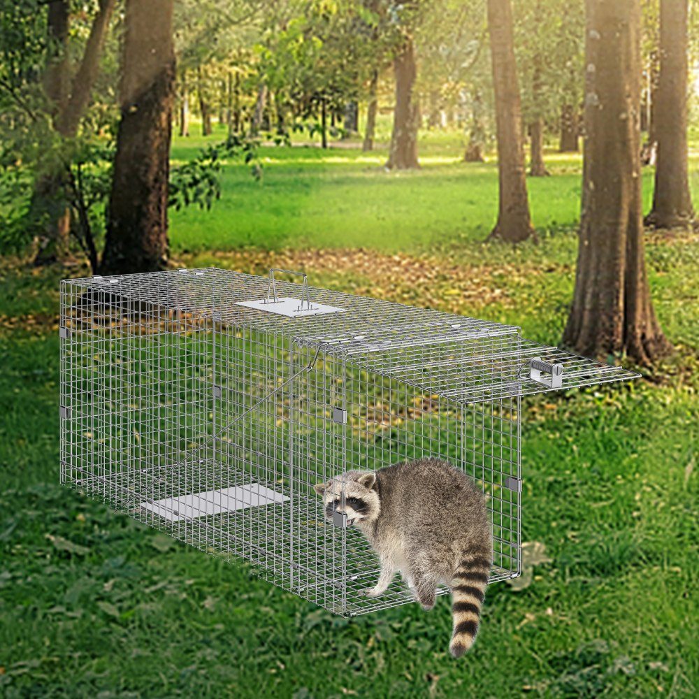 Live Animal Cage Trap 50" x 20" x 26" Humane Galvanized Iron Cat Trap Foldable Animal Trap with Handle for Stray Dogs, Armadillos, Raccoons, Marmots, Foxes