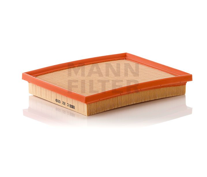 MANN filter MANN C 22 009 air filter